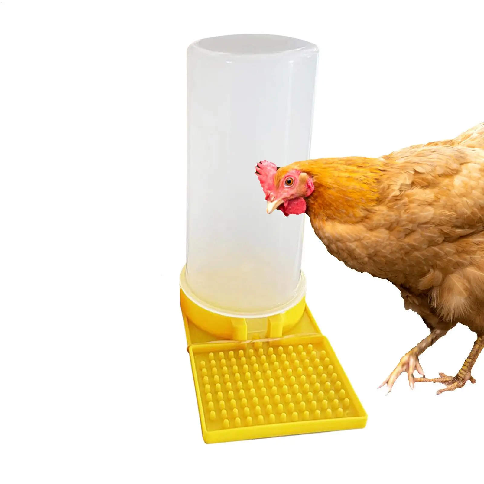 Copo de Água para Aves Transparente com Encaixe na Gaiola - Image 5