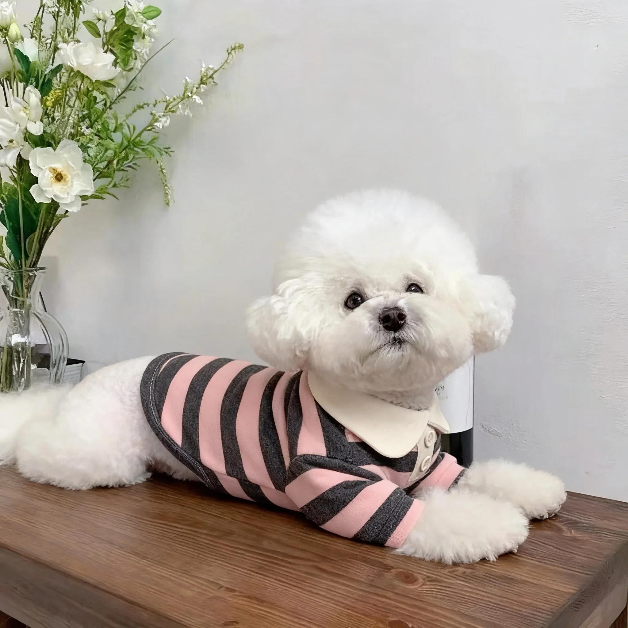 Camisa Polo para Cães de Verão Listrada - Image 4