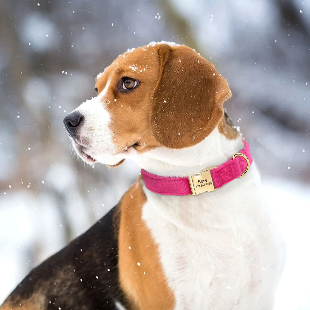 Coleira de Veludo para Cães com Gravação de Nome Ajustável - Imagem 5