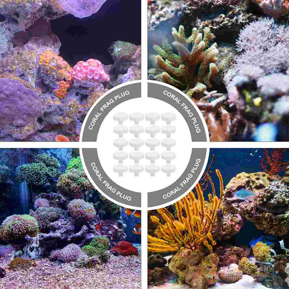 Plug de Cerâmica para Coral de Aquário, 20 peças, 2,5 cm - Imagem 2