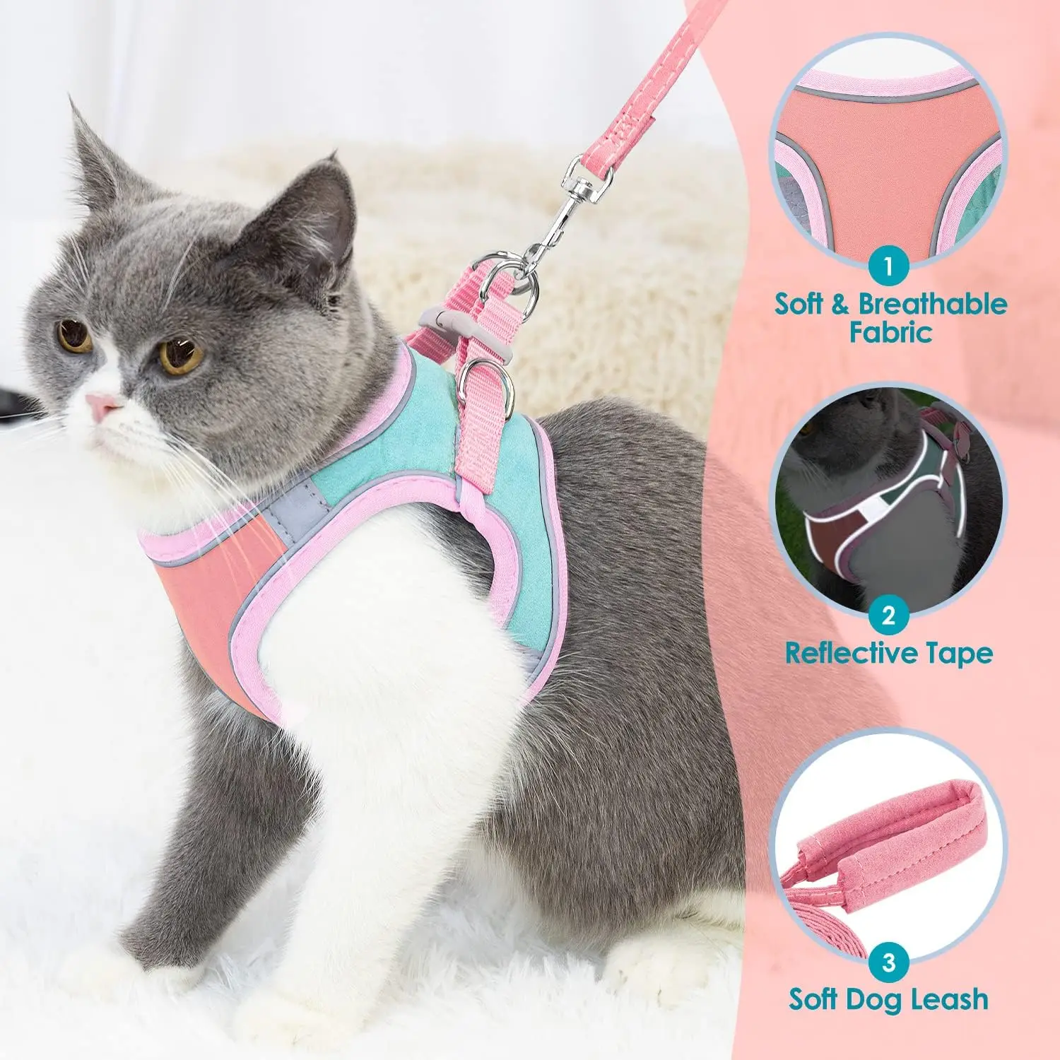Coleira para Gato com Guia, Refletiva Noturna, Fivela de Segurança - Imagem 4