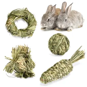 bolas de grama para roer coelhos