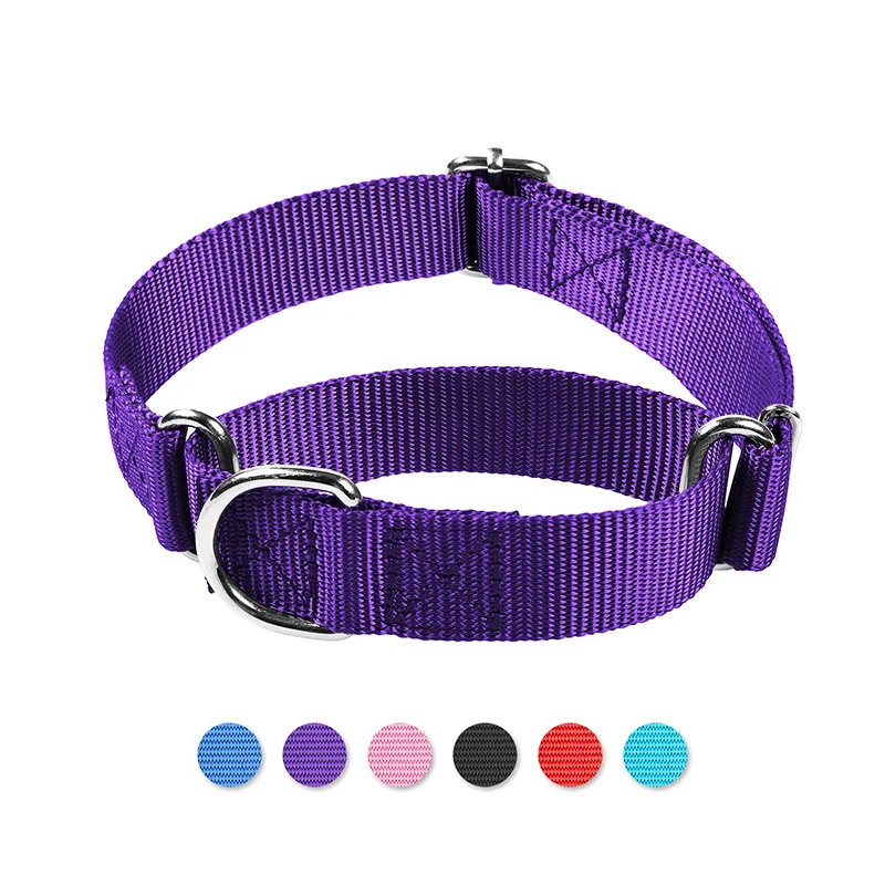Coleira para Cães de Nylon Ajustável com Anel D de Metal - Imagem 2
