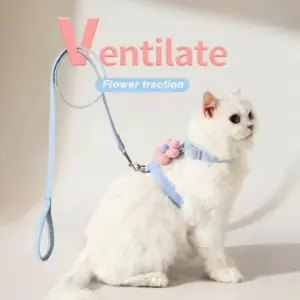 conjunto peitoral e guia para gatos