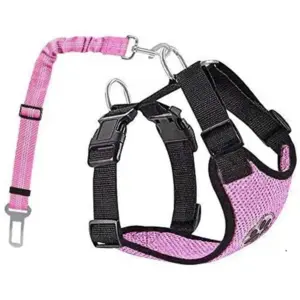 cinto de segurança para cães ajustável