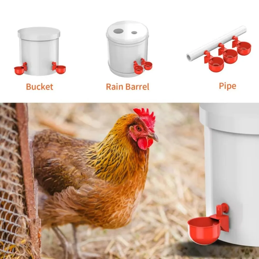 Bebedouro Automático para Aves com Copo de 6,6 cm de Diâmetro - Imagem 4