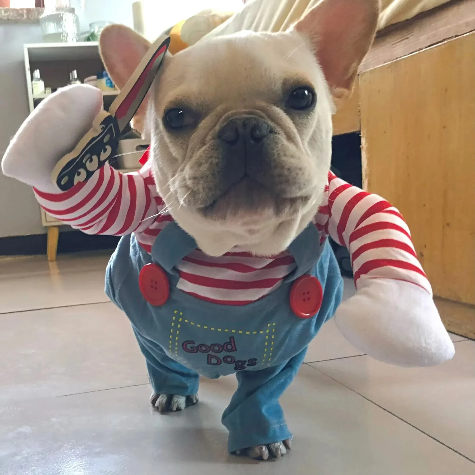 Roupa de Cachorro Cosplay Halloween para Cães Pequenos e Médios - Imagem 3