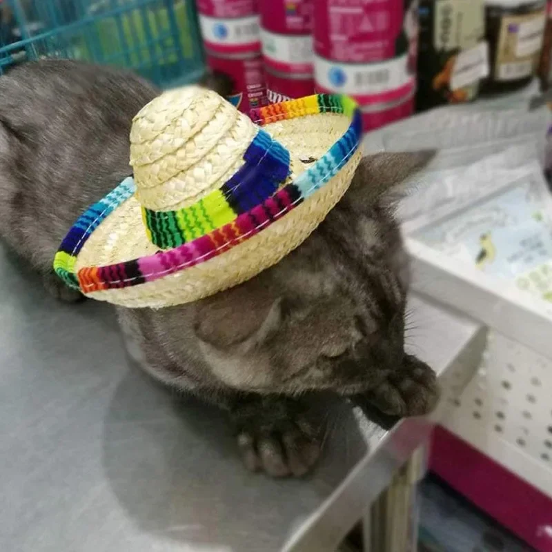 Chapéu Sombrero de Palha para Cães e Gatos Pequenos com Ajuste no Queixo - Image 2