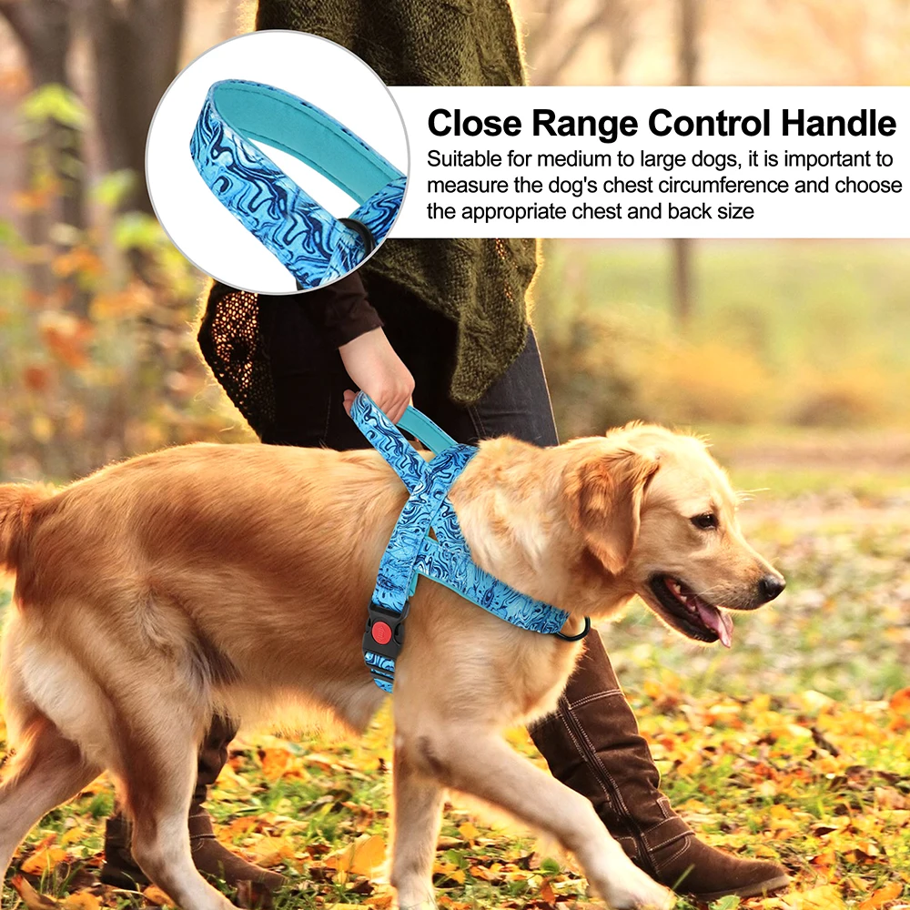 Arnês de Nylon para Cães Ajustável com Fivela de Segurança - Image 3
