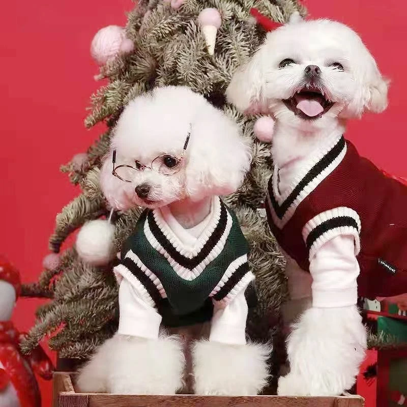 Suéter Colete Pet para Cães Pequenos e Gatos de Poliéster Estilo Colegial - Imagem 2