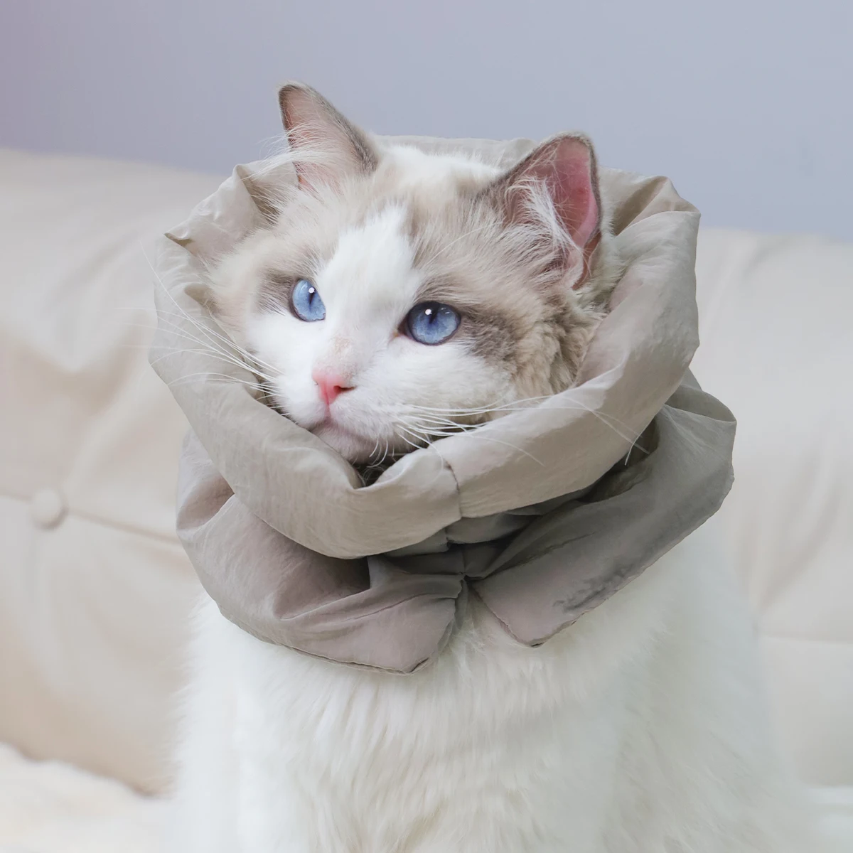 Coleira Lenço para Gatos Pós-Esterilização Impermeável - Imagem 5
