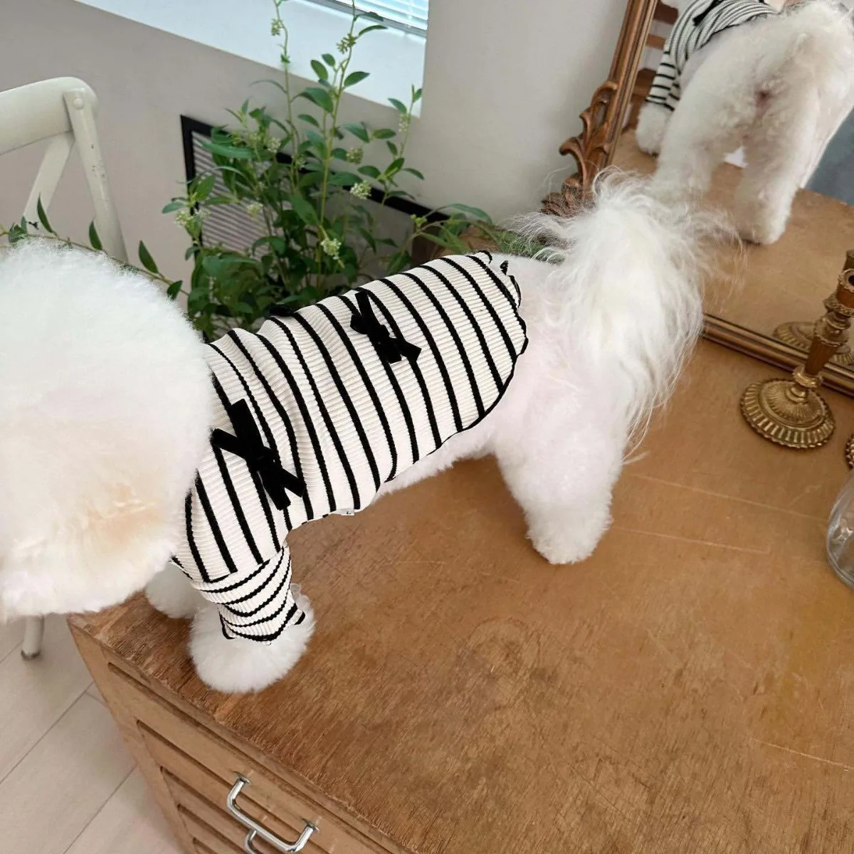 Colete Listrado para Cães e Gatos de Manga Curta - Imagem 4