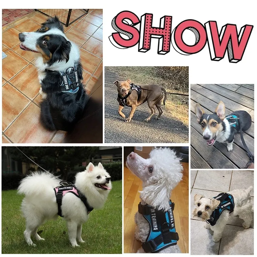 Colete para Cães Tático Reflexivo Cinza para Treinamento e Passeio - Imagem 6