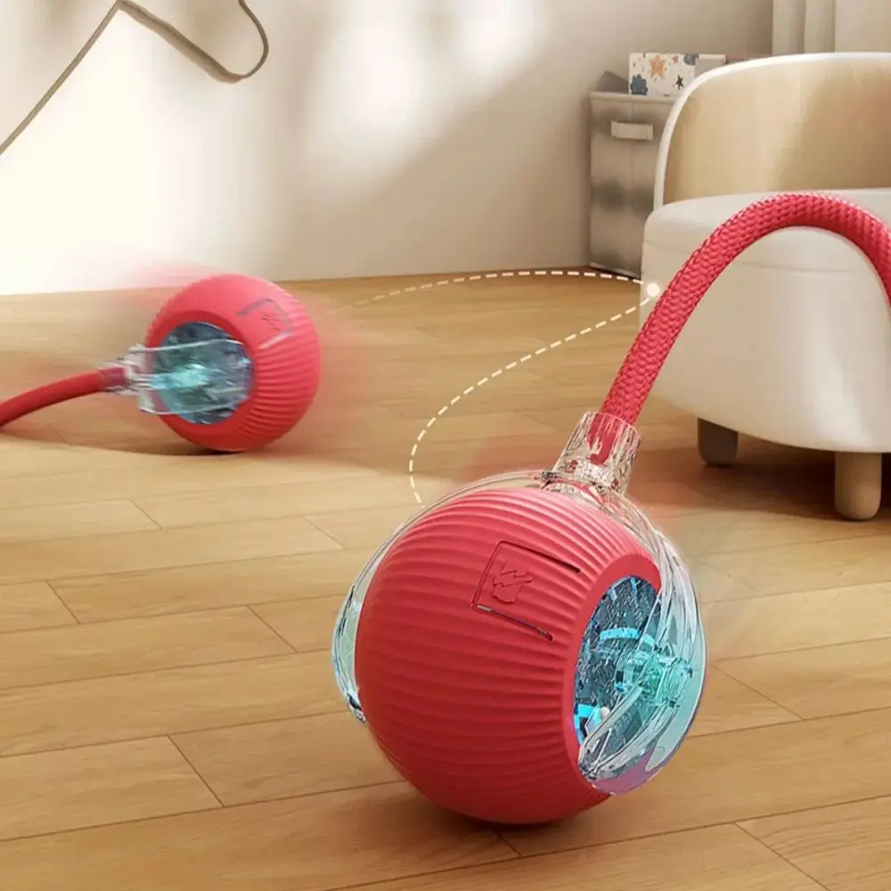 bola interativa para cães e gatos