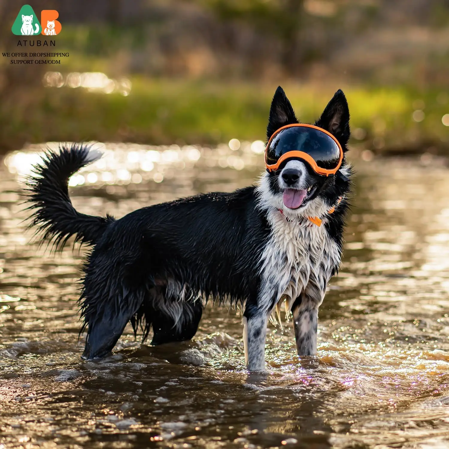 Óculos de Sol para Cães com Proteção UV e Alça Ajustável - Imagem 5