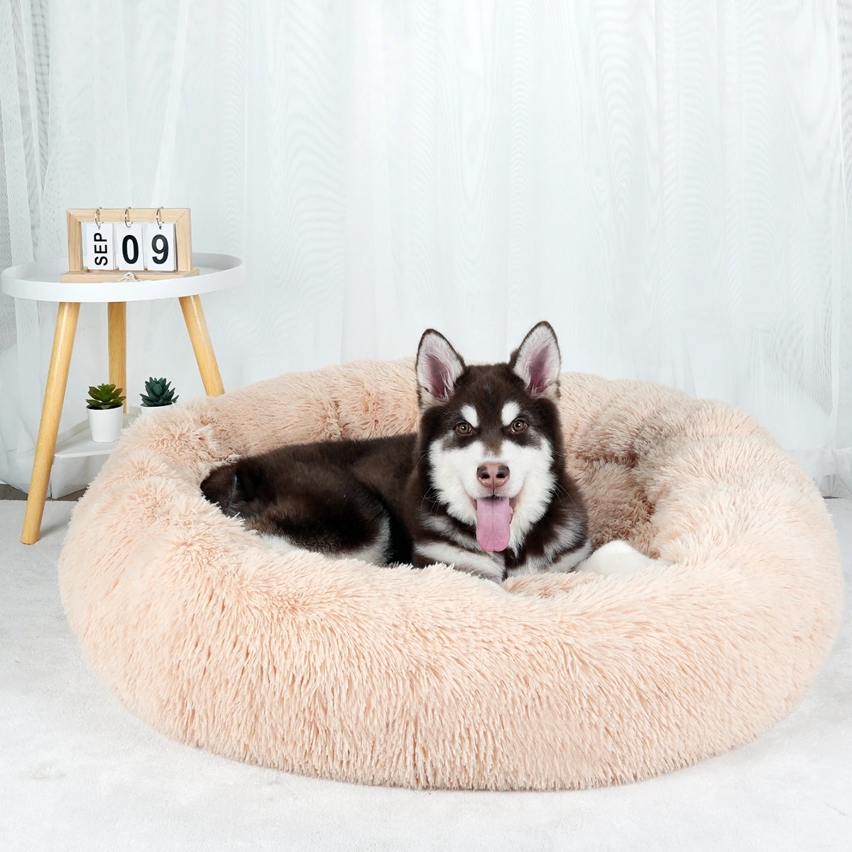Cama Sofá para Cães e Gatos de Pelúcia Branca 40 cm - Image 3