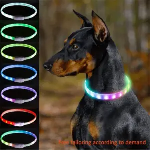 coleira luminosa para cães ajustável