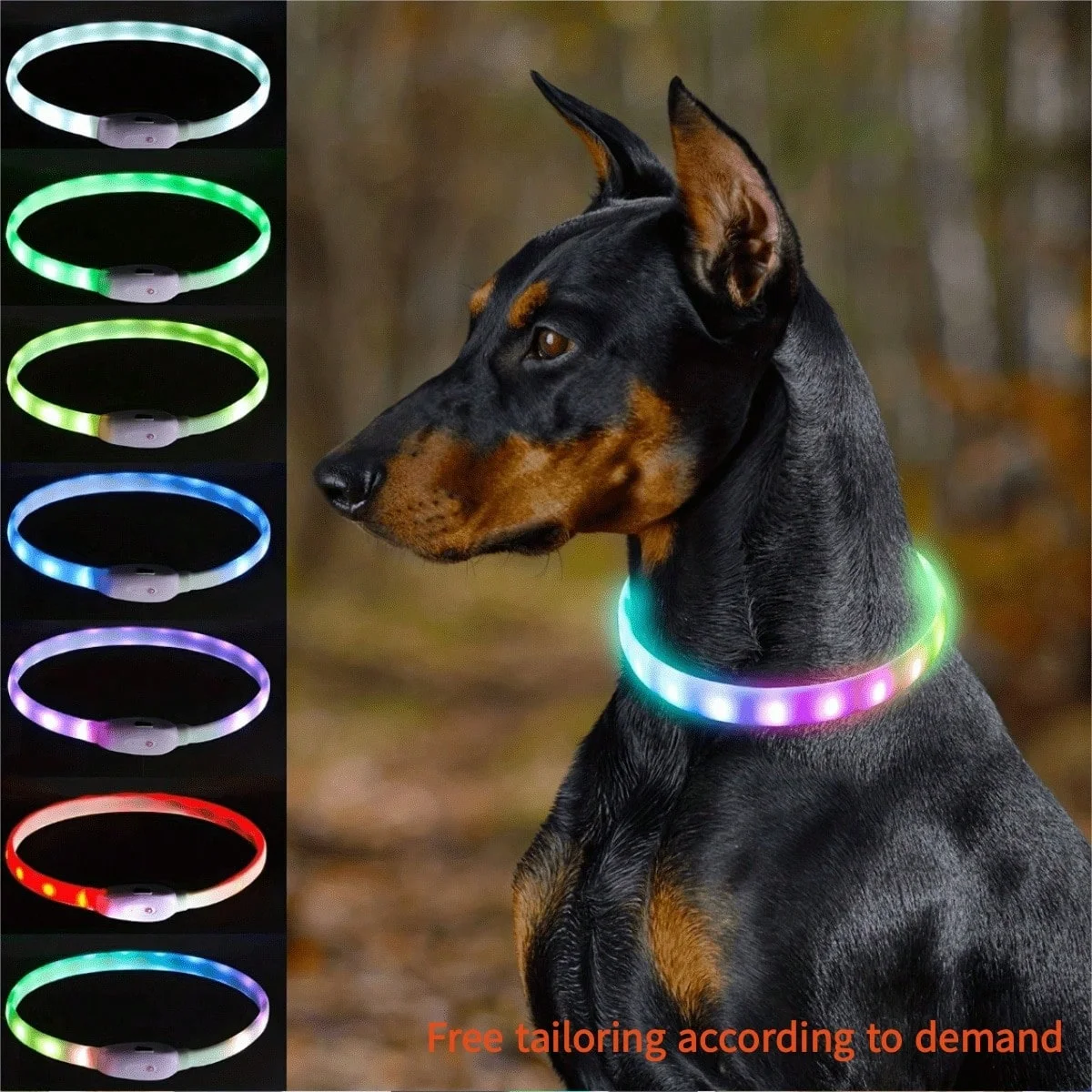 coleira luminosa para cães ajustável