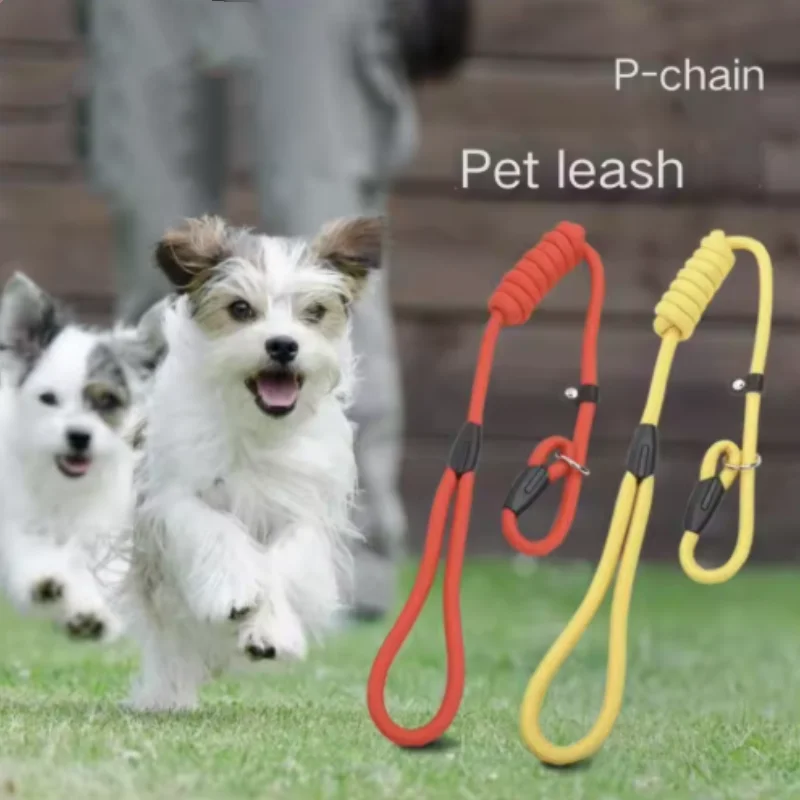 Coleira para Cães Pequenos de Nylon com Liberação Rápida - Imagem 6