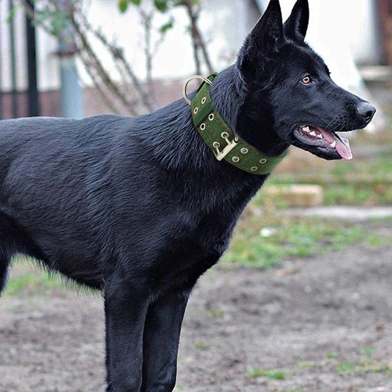 Coleira Militar para Cães Grandes de Nylon com Fivela de Metal Ajustável - Imagem 6