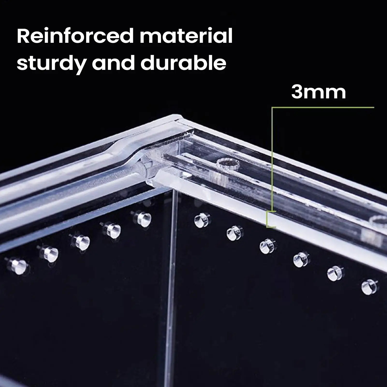 Terrário para Répteis de Acrílico Transparente com Ventilação - Imagem 4