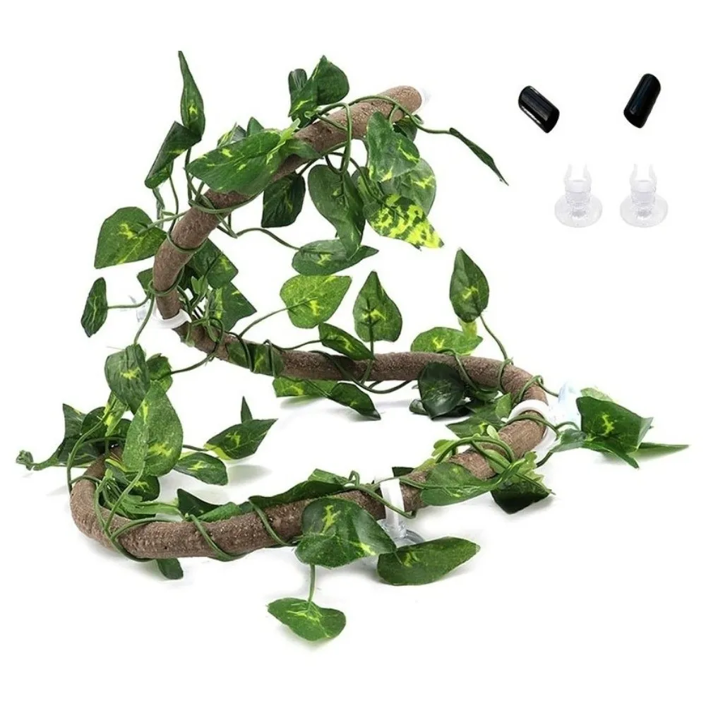 Kit Trepadeira para Répteis de Rattan com Ventosas para Terrário - Image 3