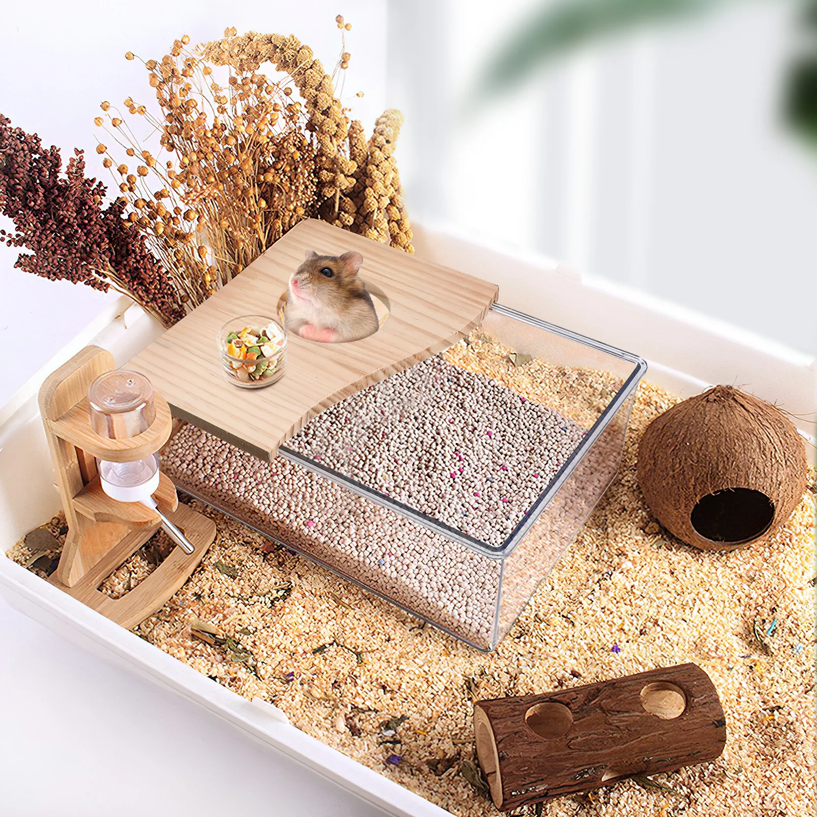 Sandbox de Acrílico para Hamster 20x15x8 cm com Superfície Lisa para Limpeza Fácil - Imagem 6