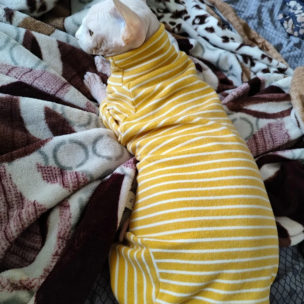 Roupa de Inverno Listrada para Gatos de Algodão com 4 Pernas - Imagem 5