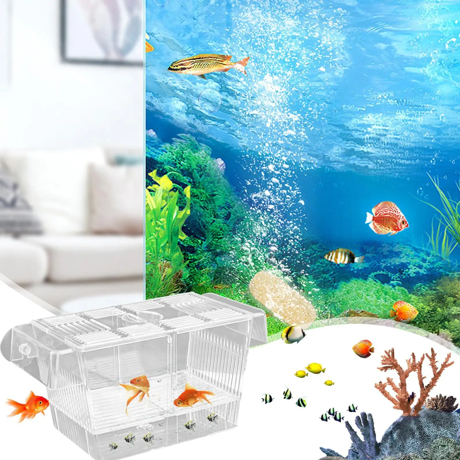 Caixa de Acrílico para Criação de Peixes com Divisória para Aquário - Imagem 5