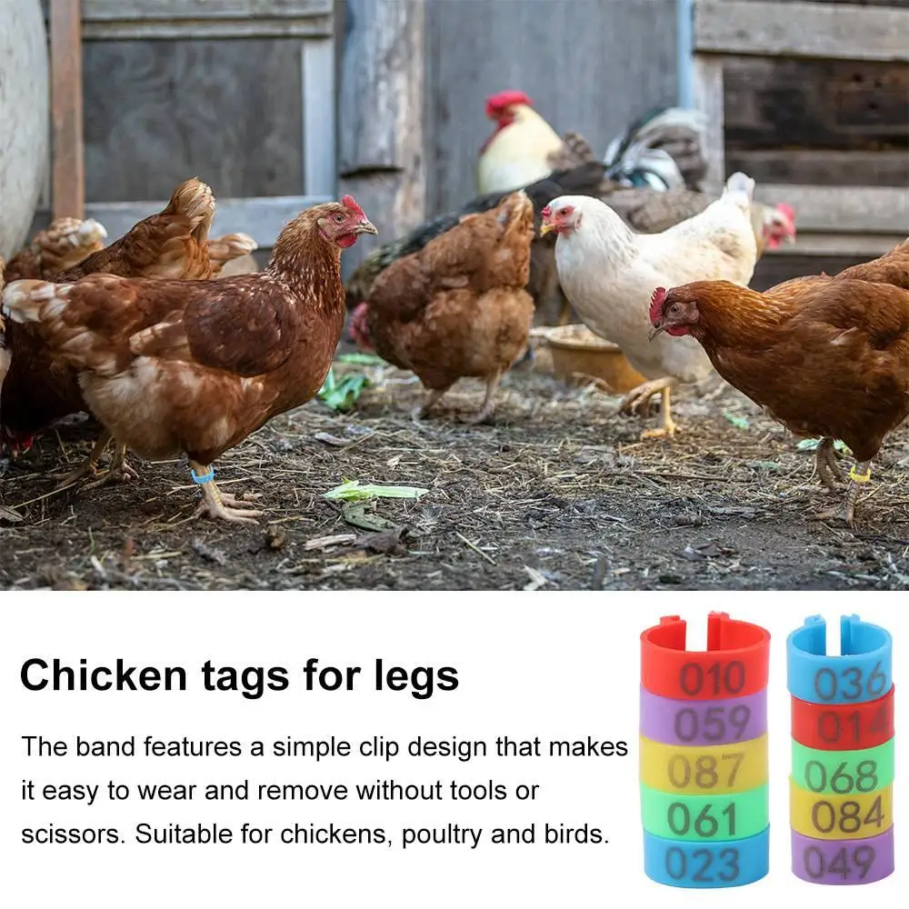 Anéis de Identificação para Aves 16/20mm Plástico com Número - Imagem 6