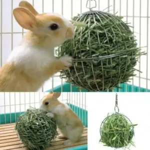 bolinha porta feno para roedores