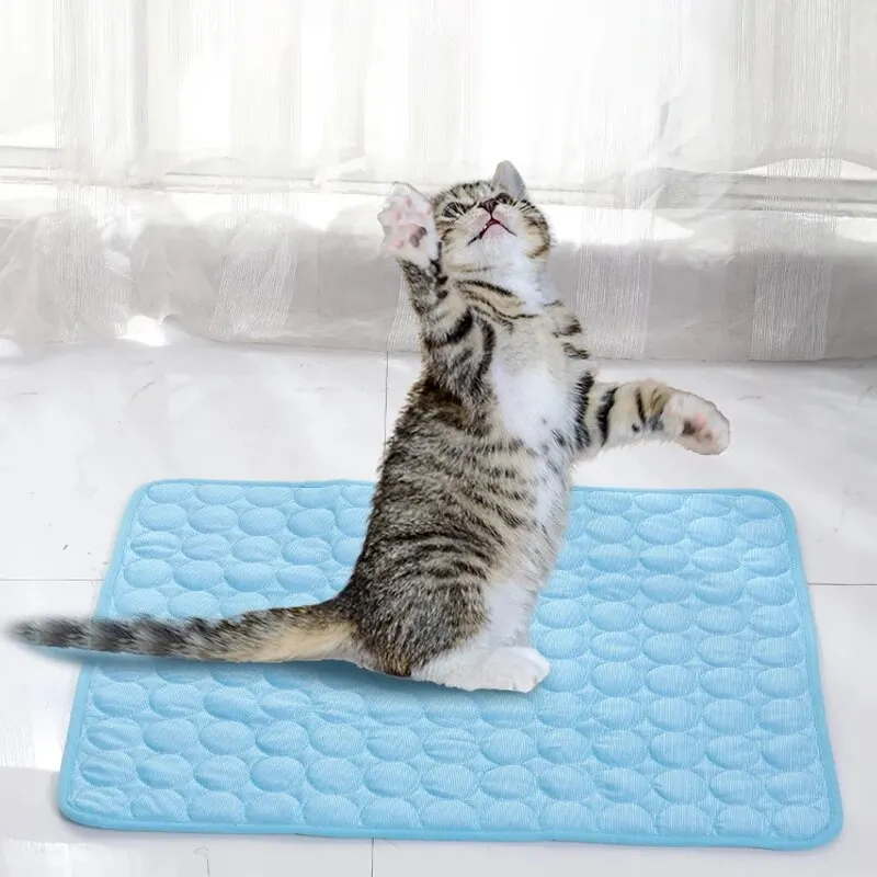 tapete refrescante para gatos e cães