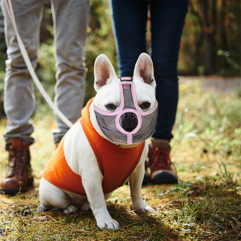 Focinheira para Cães de Focinho Curto Malha Ajustável Respirável - Image 5