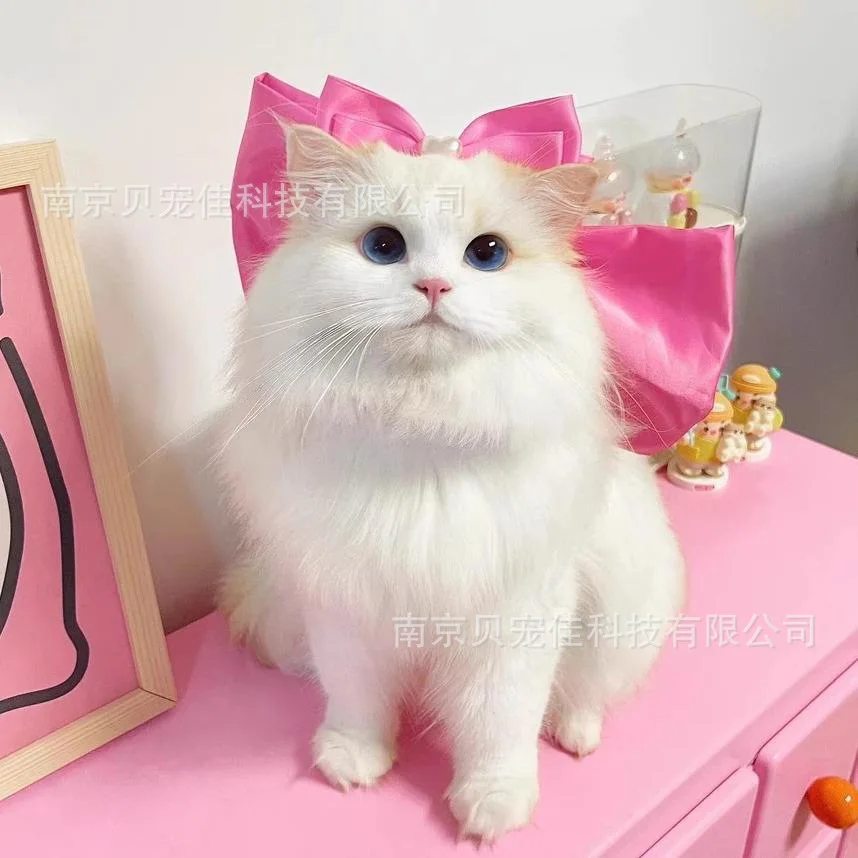 Coleira Laço para Gatos Decorativa Branca - Imagem 3