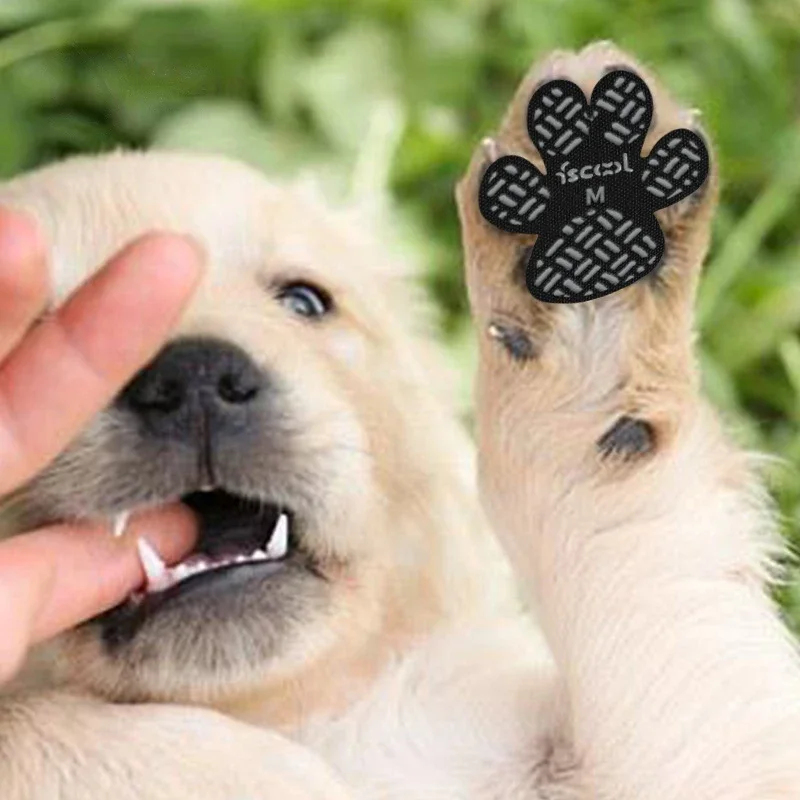 Adesivos Protetores de Patas para Cães com Antiderrapante - Imagem 4