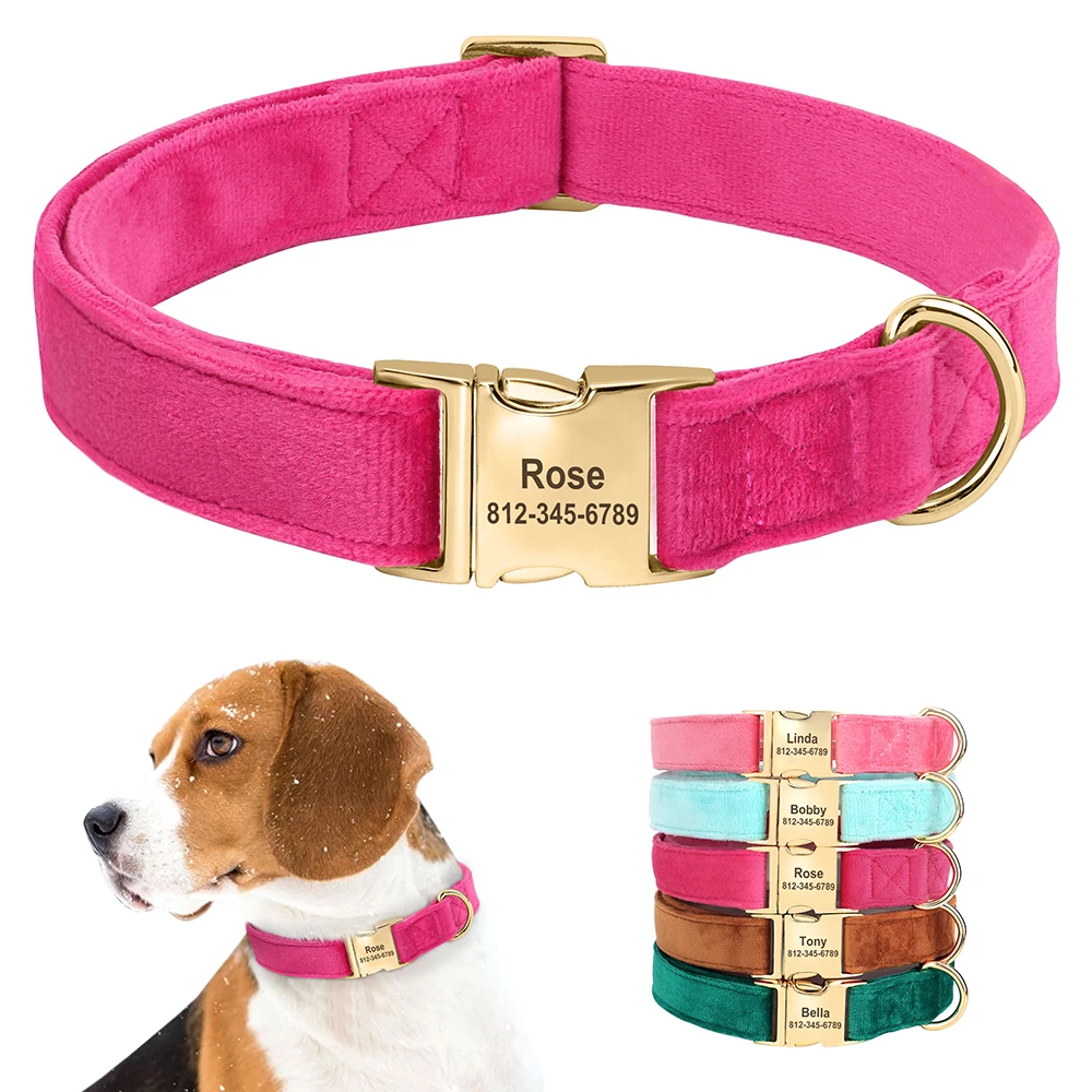 coleira de veludo para cães com gravação