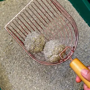 pá de maca para gatos de aço inoxidável