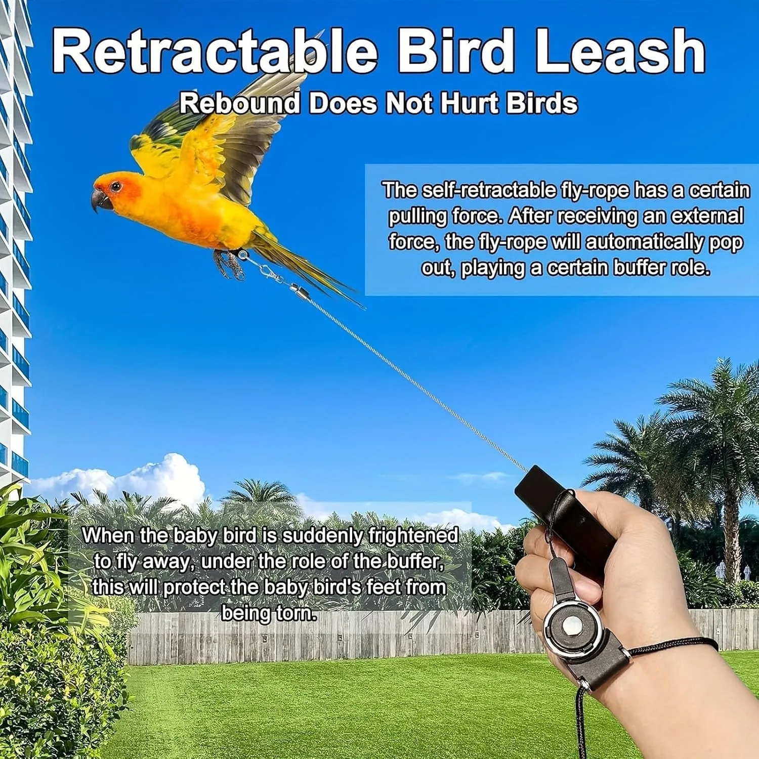 Coleira Retrátil para Pássaros com Anel de Pé Anti-Mordida - Imagem 5