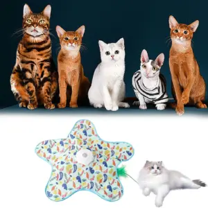 brinquedo esconde-esconde para gatos
