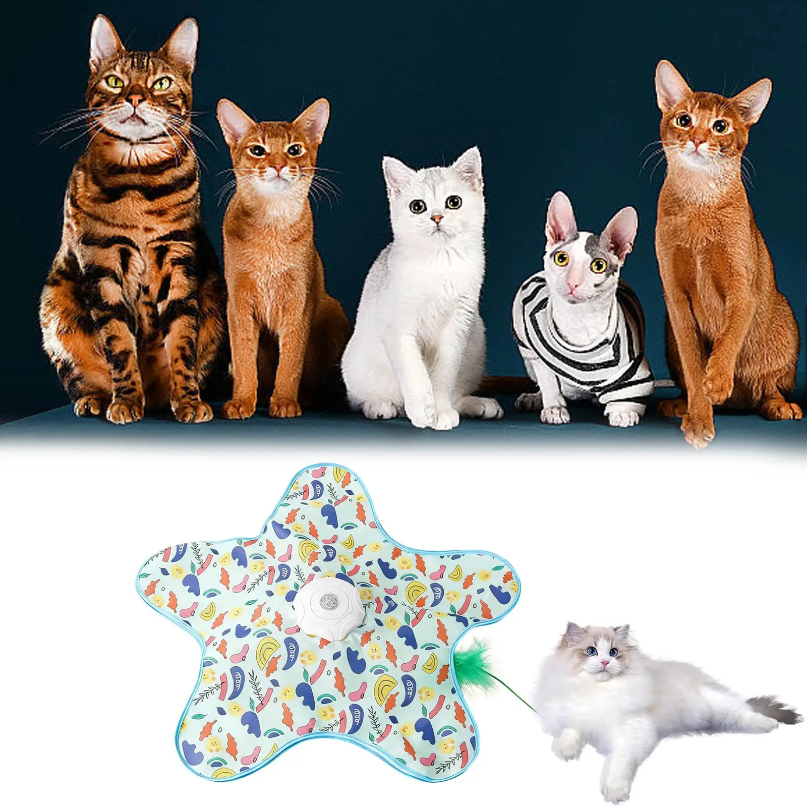 brinquedo esconde-esconde para gatos