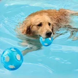 bola flutuante para cães