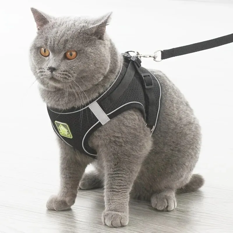 Colete Peitoral para Cães e Gatos Refletivo para Passeio Noturno - Imagem 5