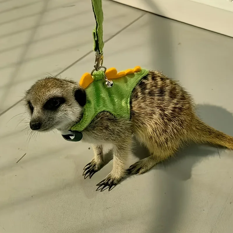 Colete para Furão de Pelúcia Ajustável Formato Dinossauro com Sino - Imagem 6