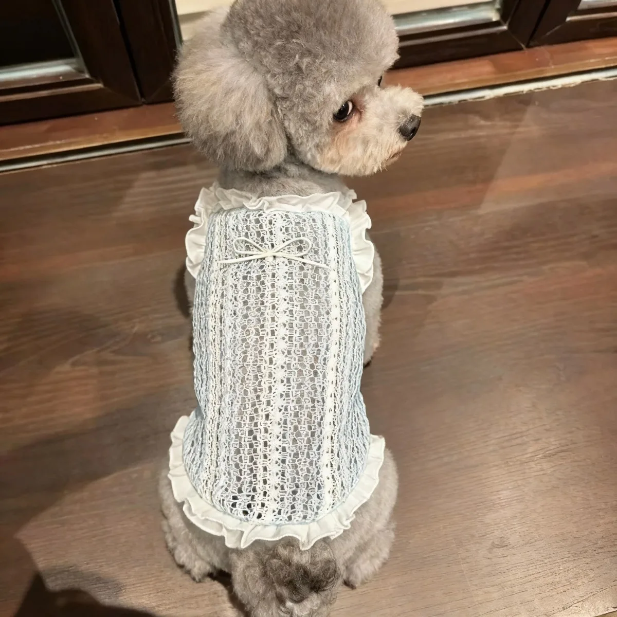 Colete de Verão para Cães e Gatos Pequenos Tamanho XXL - Image 3