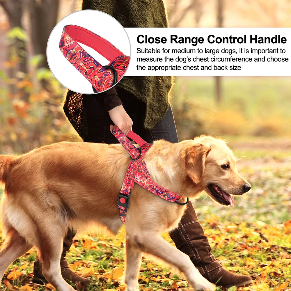 Colete Peitoral para Cães de Nylon Ajustável com Alça de Controle - Image 5
