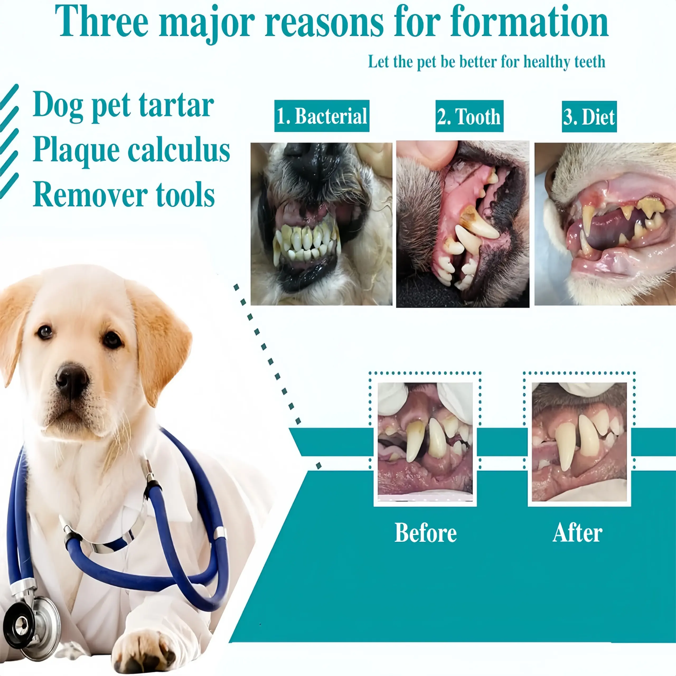 Kit Limpeza Dental para Cães e Gatos em Aço Inoxidável - Image 2