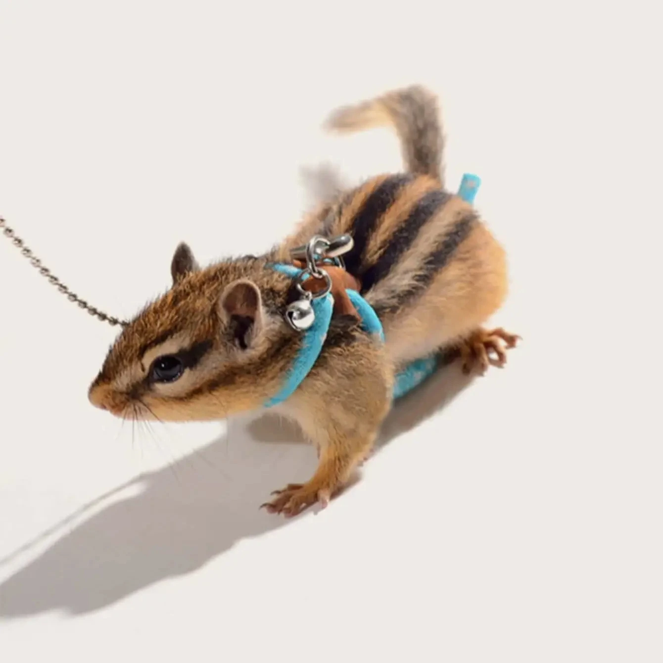 Coleira e Arnês para Hamster de Corda Redonda com Colete Seguro - Imagem 3