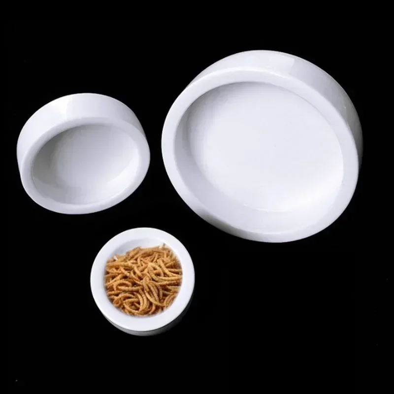 Alimentador Cerâmico para Répteis e Tartarugas 6,8 cm com Borda Antifuga - Image 2