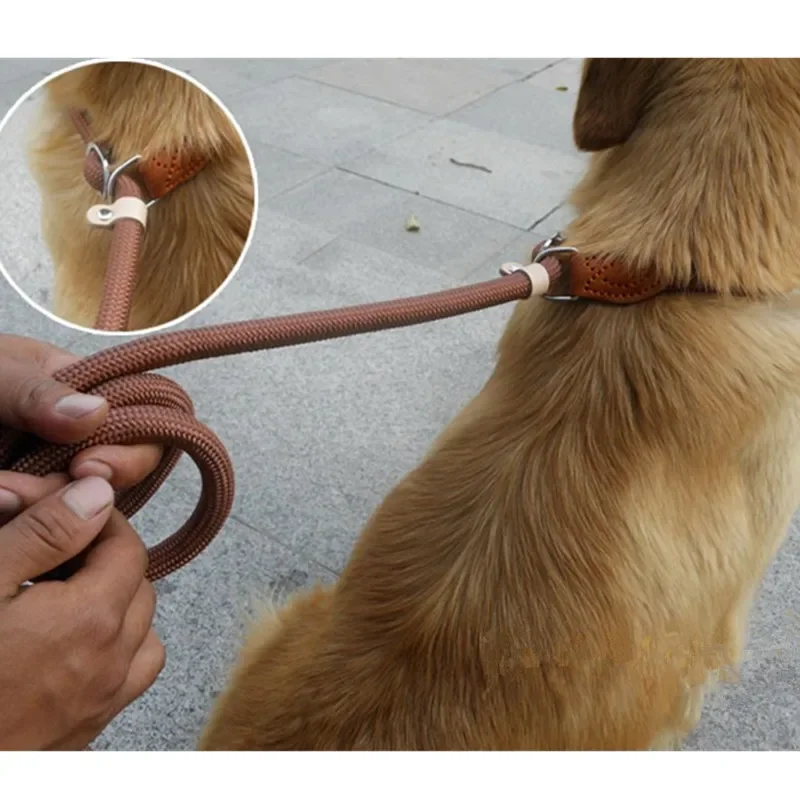 Guia de Corda para Cães Grandes Ajustável com Laço Deslizante - Imagem 2