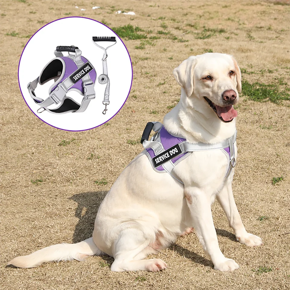 Coleira Ajustável para Cães com Alça e Guia Refletiva Anti-Puxão - Imagem 2
